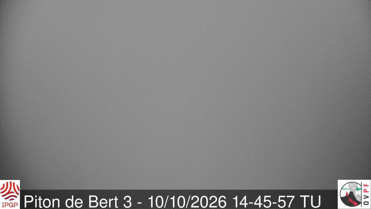 Webcam Piton de Bert